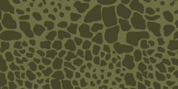 Puma Camouflage