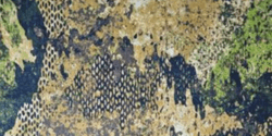 WASP II Z2 Camouflage