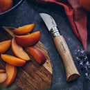 Składany scyzoryk Opinel N°07 Chestnut Garlic z 12C27 ostrzem i rękojeścią z orzecha włoskiego