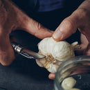 Składany scyzoryk Opinel N°07 Chestnut Garlic z 12C27 ostrzem i rękojeścią z orzecha włoskiego