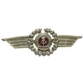 Oryginalny Wschodni Niemiec NVA Army Army Wojskowy kapelusz Cockade Pin Onace